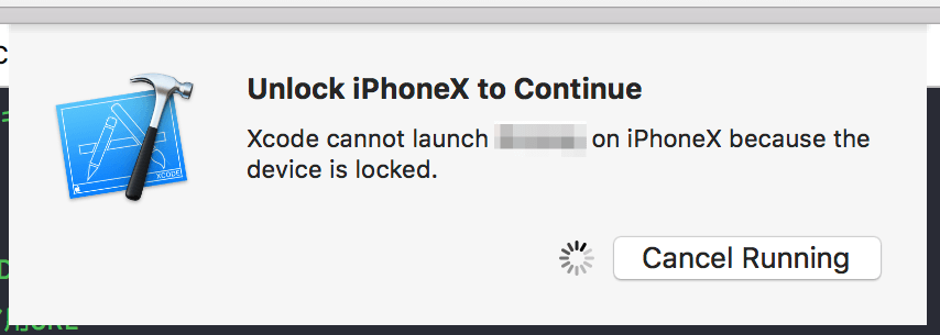 Unlock iPhoneX to Continue
